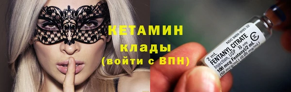 дживик Пересвет