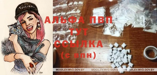 молекула духа Пестово