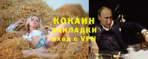 дживик Пересвет