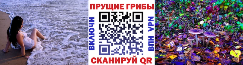 Купить  Березники  Псилоцибиновые грибы мухоморы 